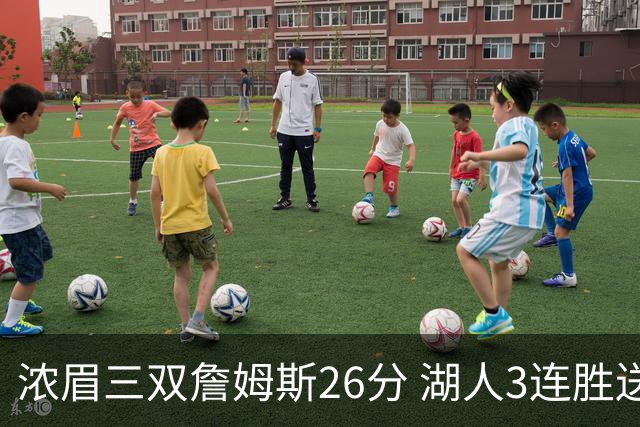 浓眉三双詹姆斯26分 湖人3连胜送黄蜂8连败